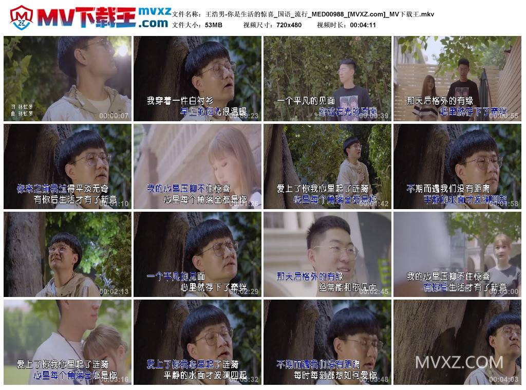 王浩男-你是生活的惊喜_国语_流行_MED00988